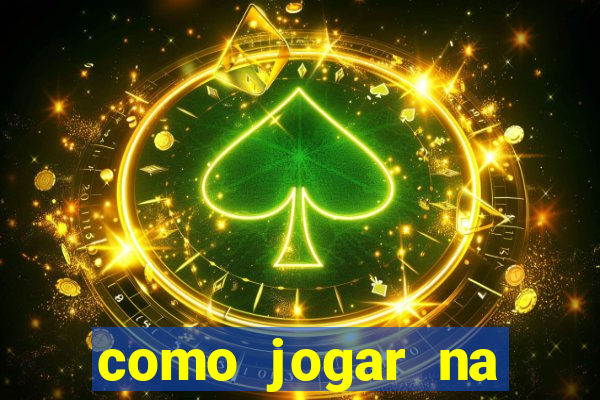 como jogar na lotinha do jogo do bicho